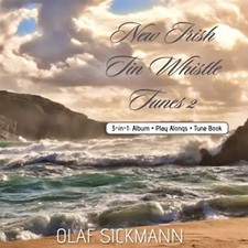 New irish tin whistle - irish,