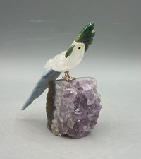 PAPAGEI KAKADU VOGEL aus