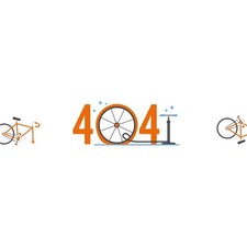 Haibike ALLMTN CF 10