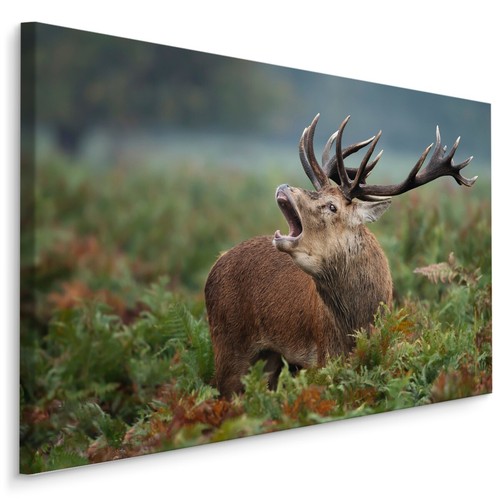 Canvas leinwand bilder - canvas,