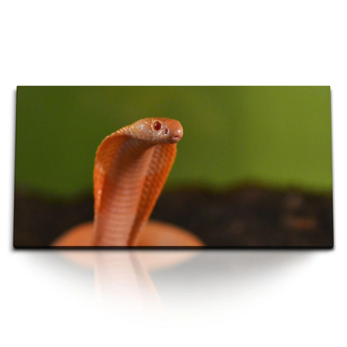 120x80cm kunstdruck bilder - 120x80cm,