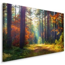 Fabelhafte Canvas LEINWAND