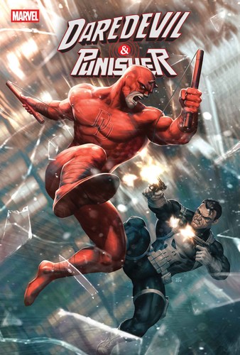 Daredevil punisher the - /,
