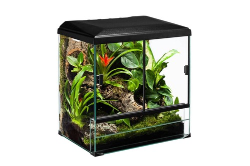 Glas terrarium set - glas,