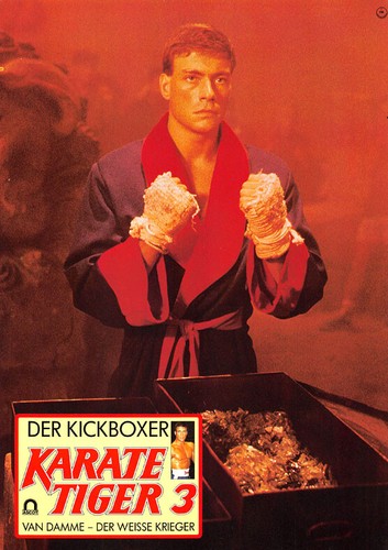 Karate tiger der - tiger, kickboxer