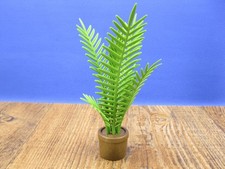 Zimmerpalme Palme Zubehör
