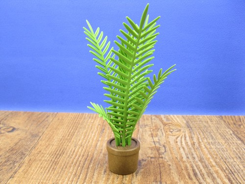 Zimmerpalme palme zubehör - zimmerpalme,