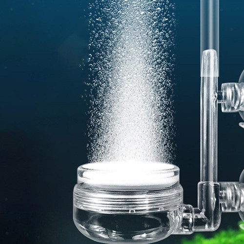 Aquarium co2 diffusor - aquarium,