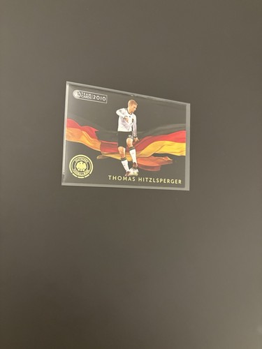 Panini dfb 2010 - dfb, wm