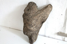 Schwemmholz Treibholz Skulptur