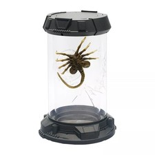 Exclusive Facehugger New Alien