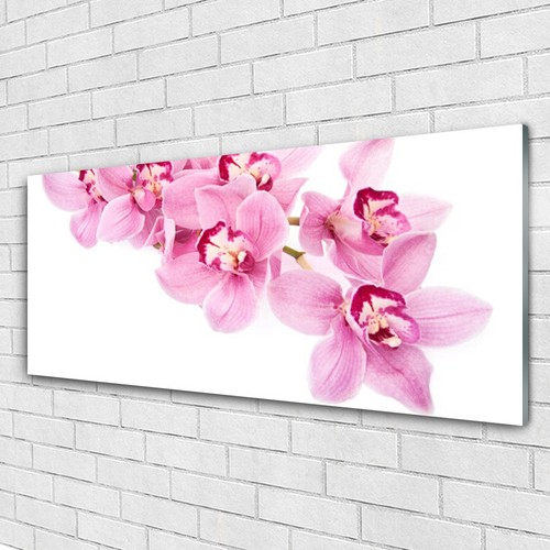 Glasbilder wandbild druck auf - glasbilder,