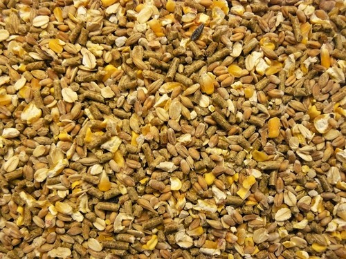 Deuka hühnermüsli kg - hühnermüsli, 10