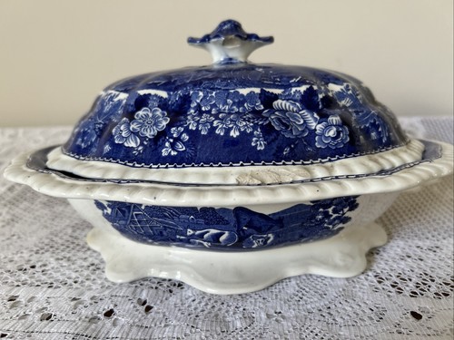 Adam english scenic blau - scenic,
