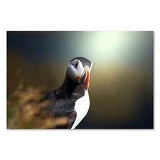 Postereck 0790 Poster Leinwand