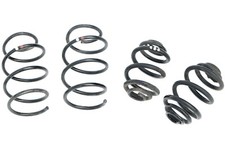 4 Serien Federn BMW E46 325ti Compact auch mit Sportfahrwerk