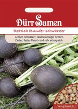 Winterrettich Runder schwarzer