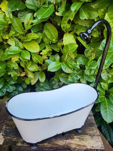 Pflanzschale badewanne - pflanzschale,
