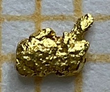 echtes Goldnugget, natürliches Gold aus Alaska/Yukon(als Geschenk/Anlage)KatB!21