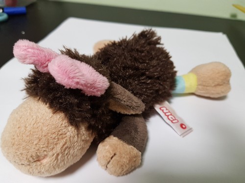 Nici schaf jolly - nici, coco