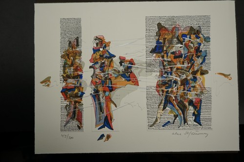 Kunstwerk siebdruck serigrafie - kunstwerk,