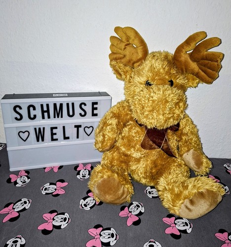 🎀Großes