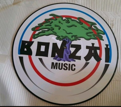 Bonzai picture vinylyves - bonzai,