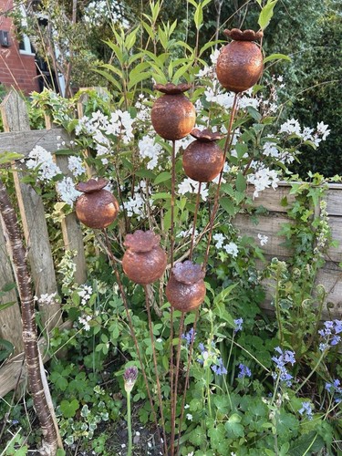 6er set blumen mohn - blumen,