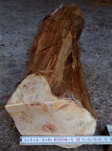 Wacholder holz bis ca 15 - wacholder,