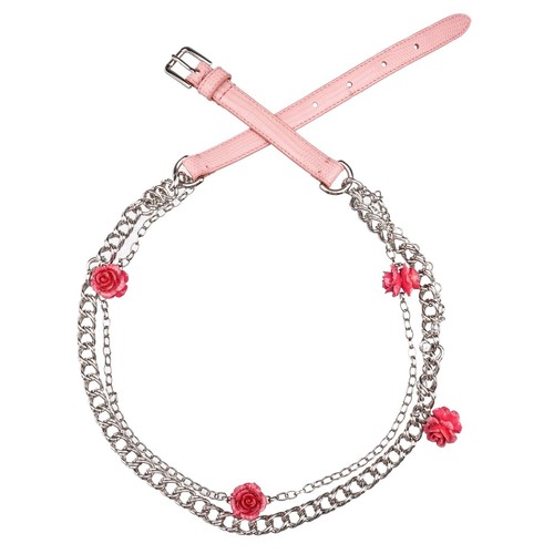 Dolce gabbana rosen rose - rosen,