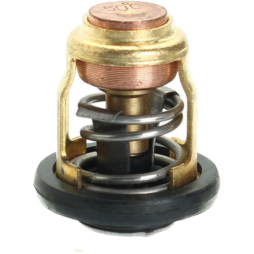 Thermostat außenborder - außenborder, 50