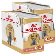Royal canin britisch - canin, kurzhaar