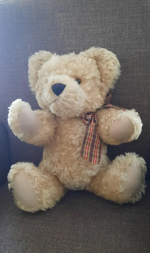 Teddybär mit brummstimme - teddybär,
