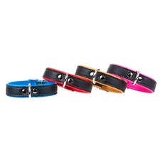 Lederhalsband aus Elchleder