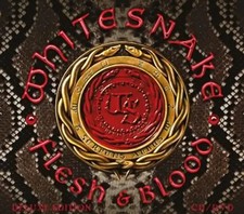 Flesh & Blood (CD+DVD Digipak)