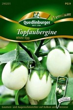 Topfaubergine White Egg -