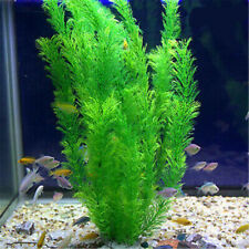 30cm Fischtank Kunststoff