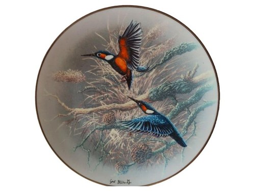 Rosenthal eisvögel - rosenthal,
