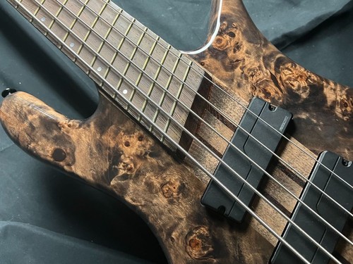 Spector dimension active - spector, ns