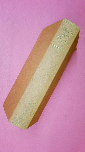 161774 miguel - miguel, de