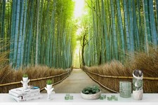 3D Bambus Wald Sonnenlicht