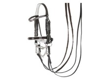 Kandare, Kandarenzaum