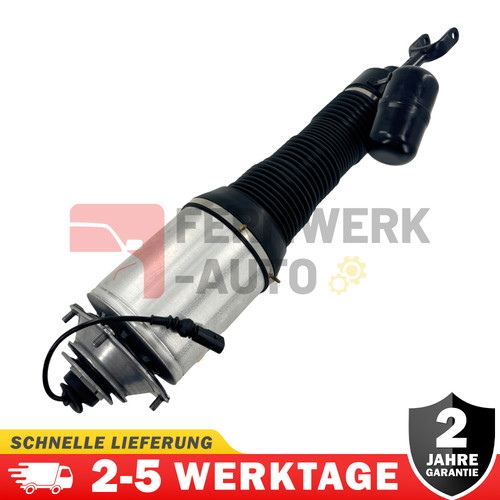 Vorne links stossdämpfer - vorne,