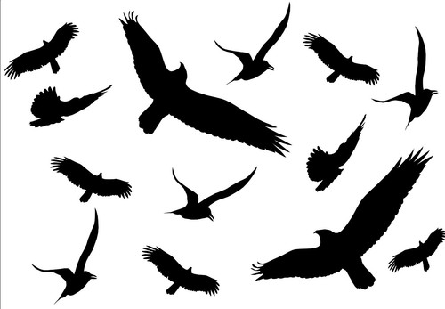 Vögel aufkleber farbe schwarz - aufkleber,