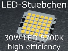 30W 5700K High-Efficiency