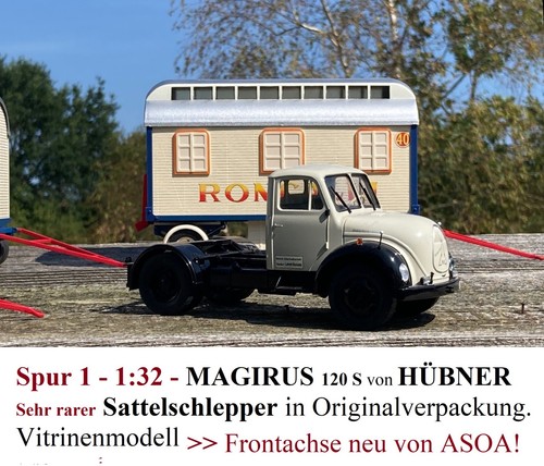 Spur magirus - 1,