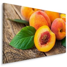 CANVAS Leinwand Bilder XXL