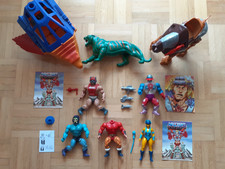 He Man - Motu - Sammlung