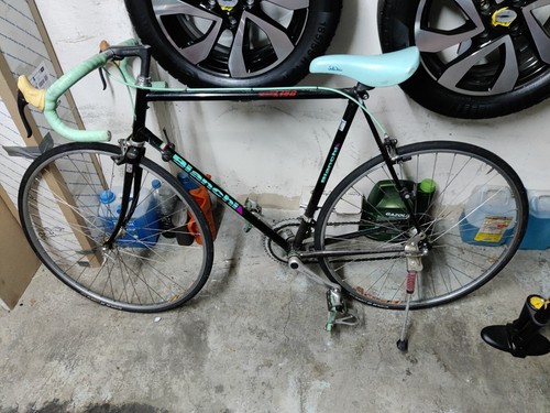 Bianchi campione - bianchi,