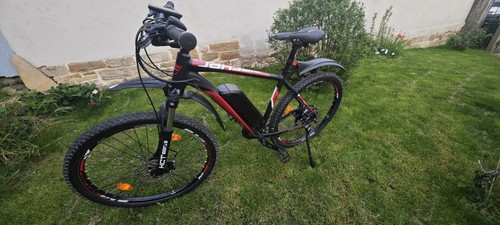 Wie neu fischer montis - montis, em